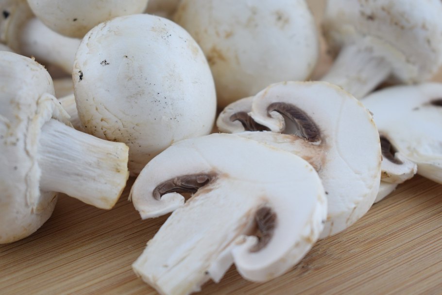 Шампиньон обыкновенный (Agaricus Campestris)