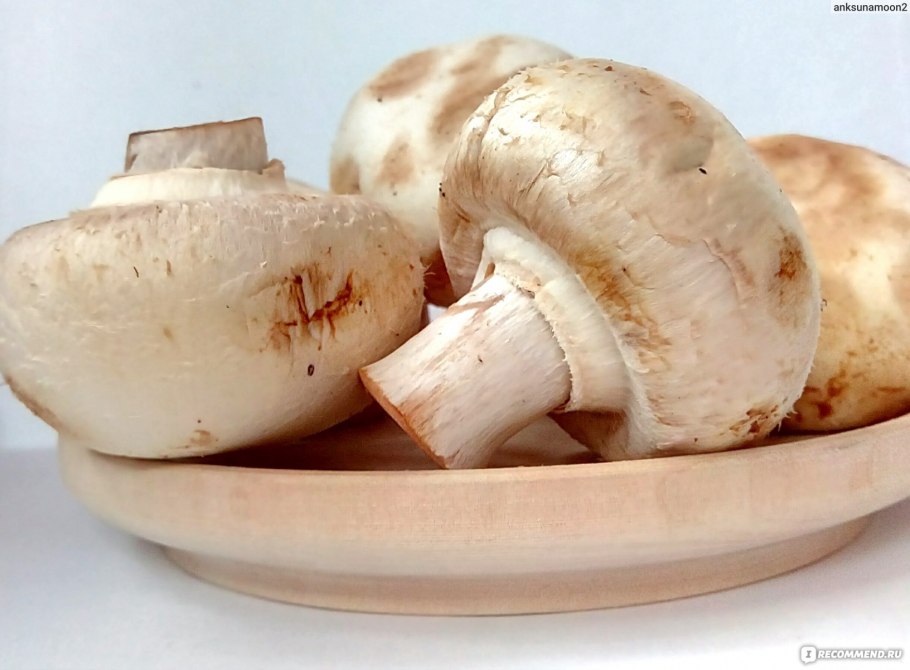 Грибы шампиньоны Печерица