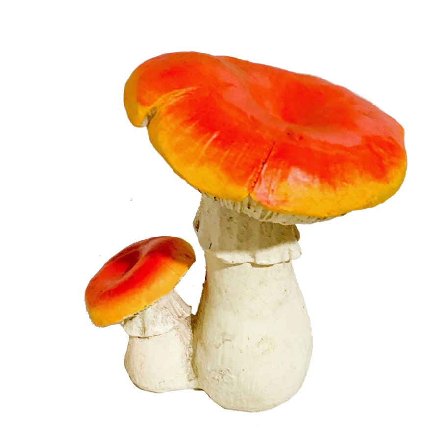 Аскомицеты сыроежки