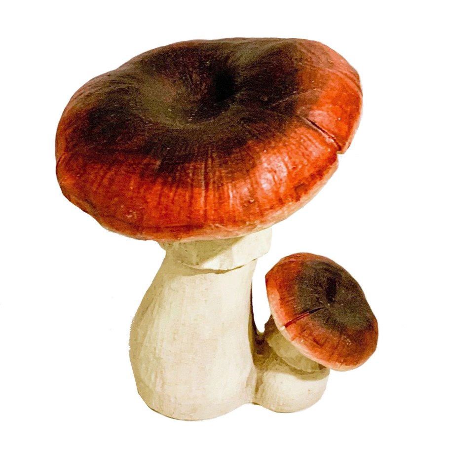 Сыроежка подберезовик