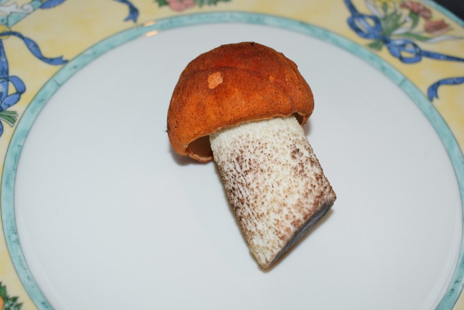 Красноголовик на срезе