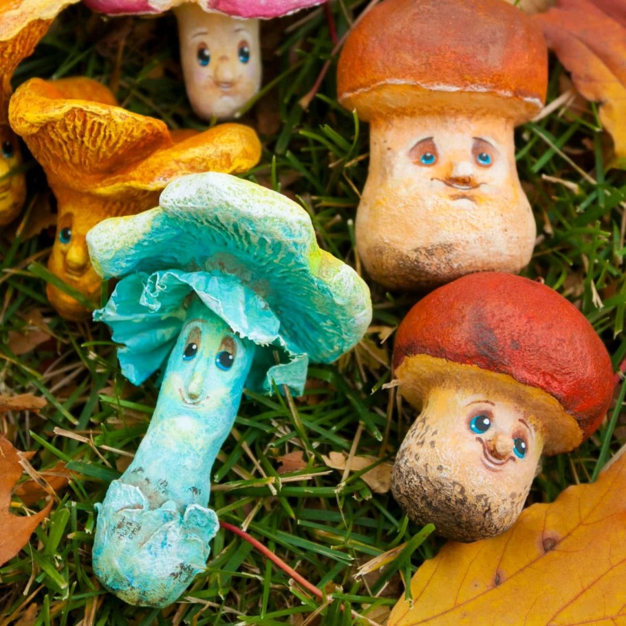 Грибы в еловом лесу