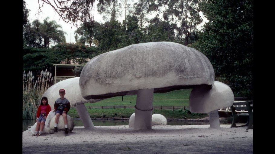 Самый гигантский гриб в мире