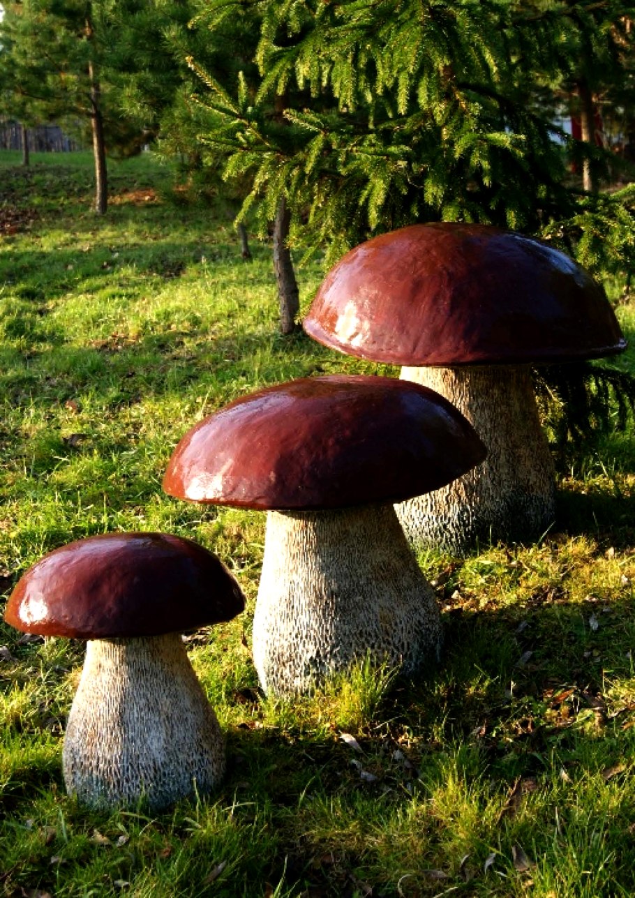 Гриб Боровик