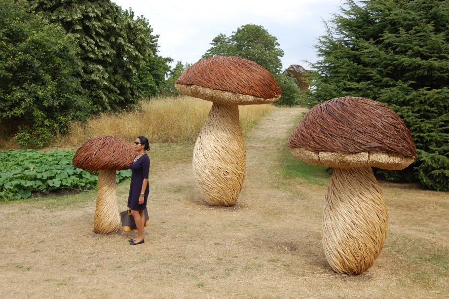 Гигантские грибы