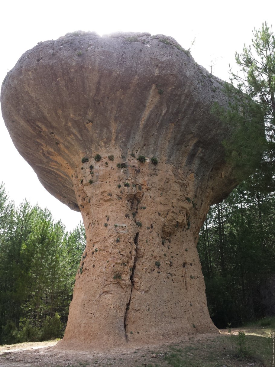 Самый большой гроб в мире