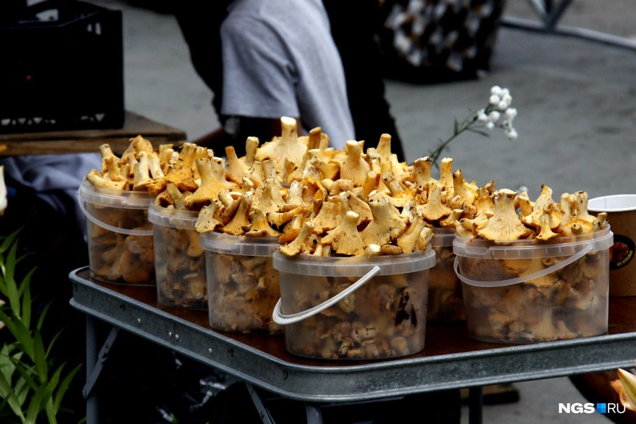 Приготовление лисичек