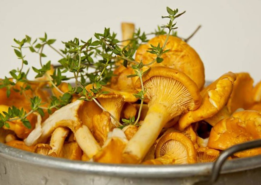 Вареные лисички