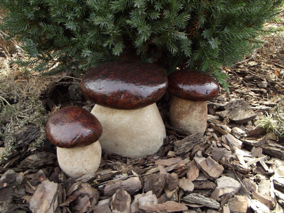 Польский гриб podgrzybek