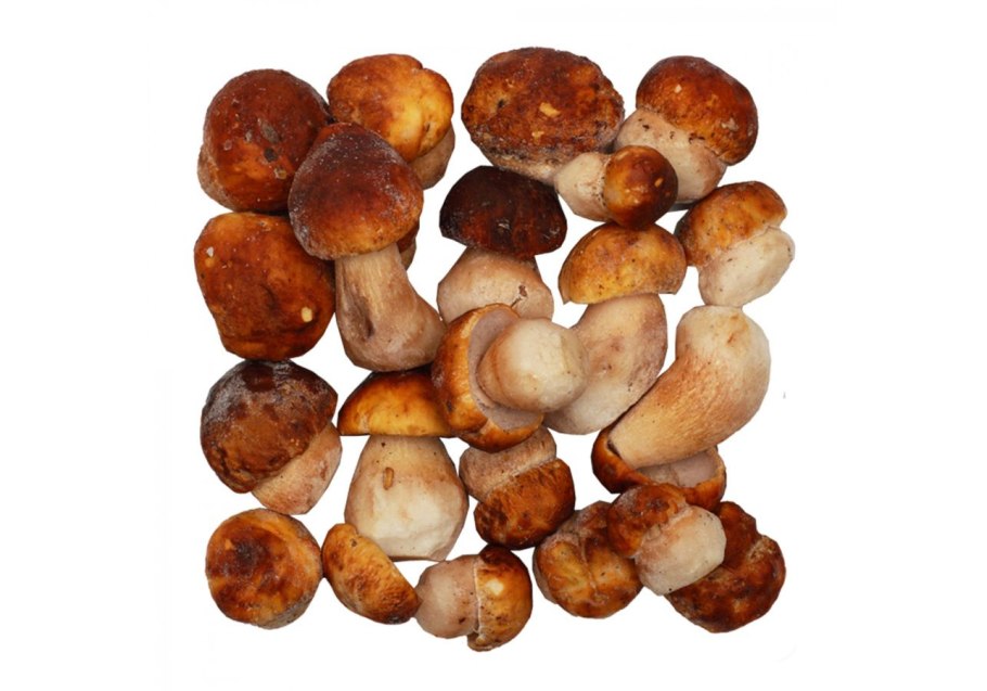 Белый гриб сверху