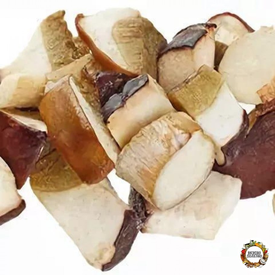 Гриб белый лиственник