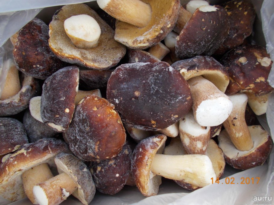 Белый гриб на Сахалине