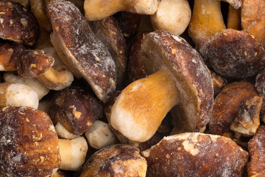 Белый гриб заморозка