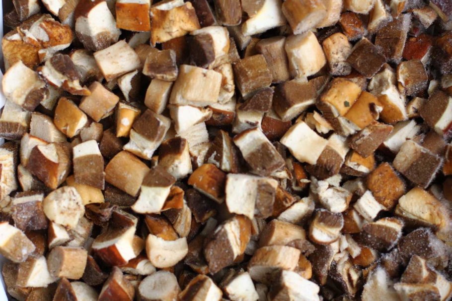 Сорт белых грибов