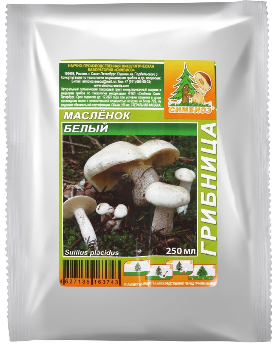 Маслята луговые