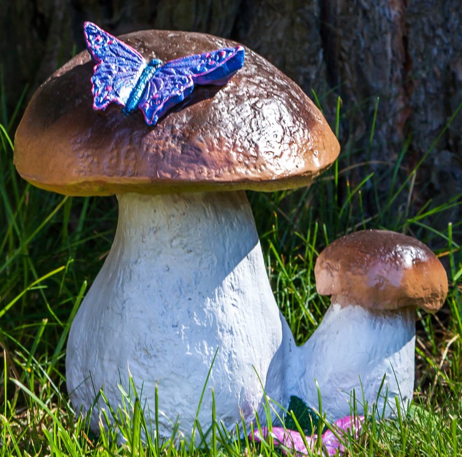 Лисички в теплице