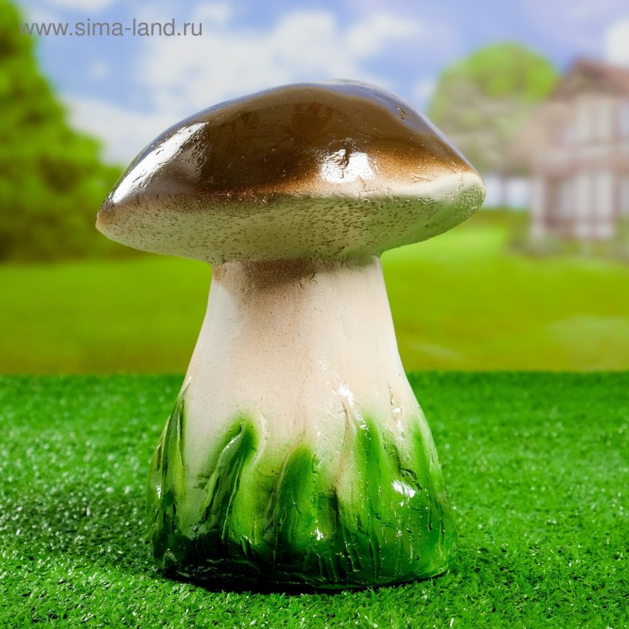 Ризоиды воздушный мицелий