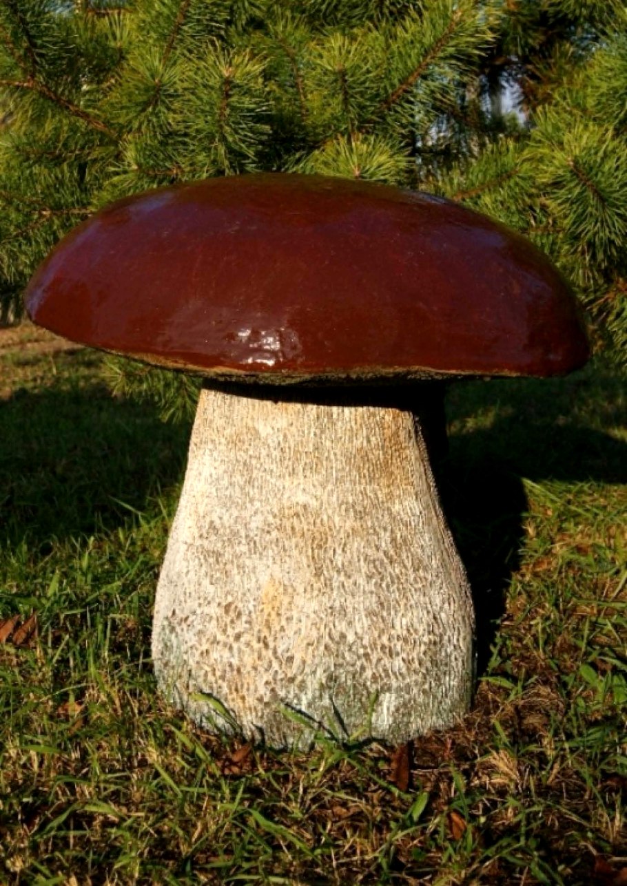 Гриб Боровик красный