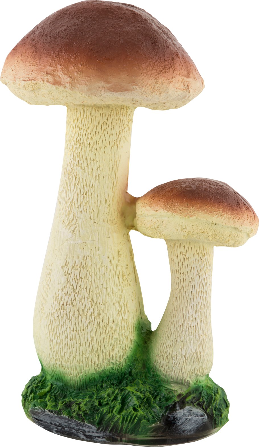 Болетус гриб