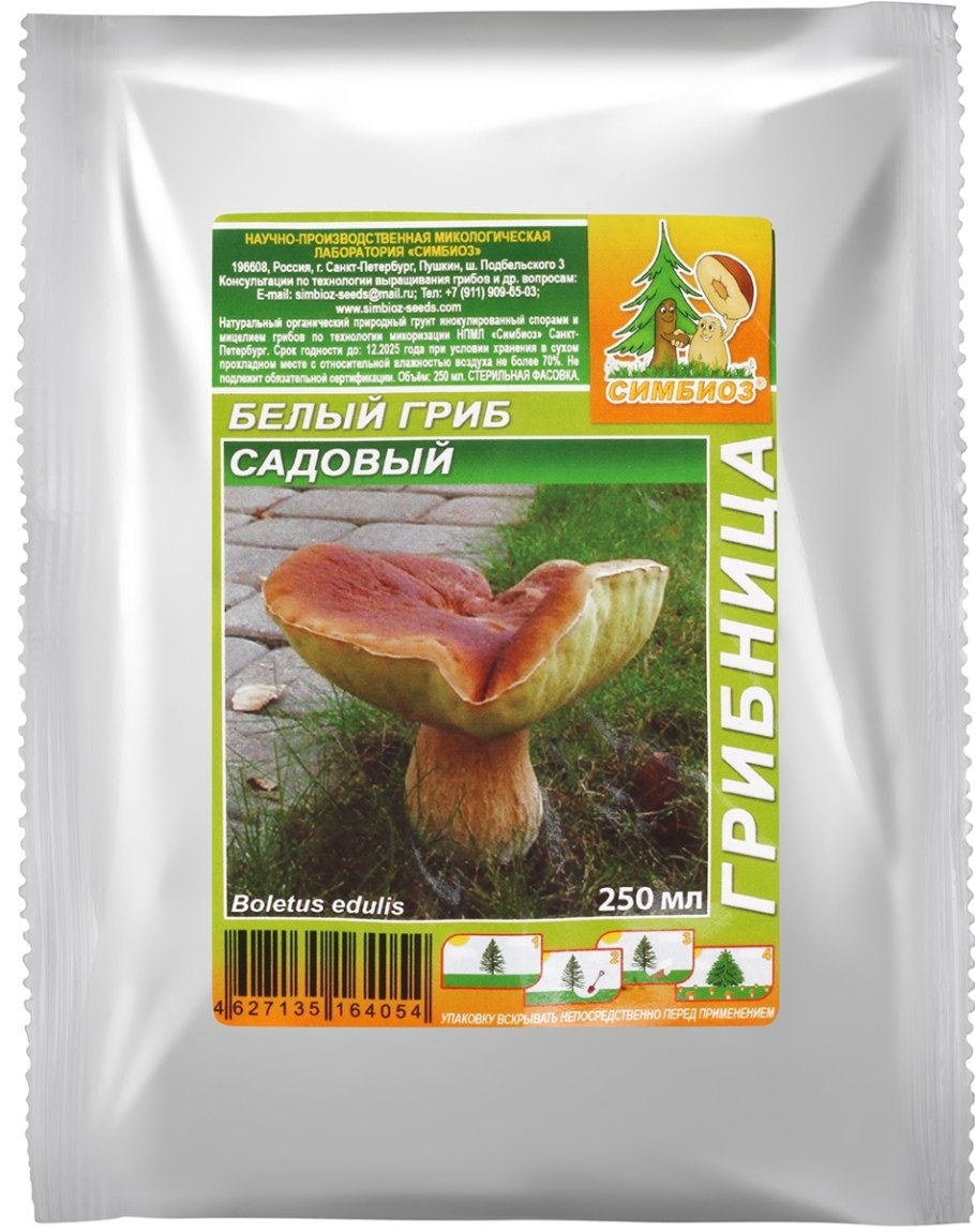 Садовый гриб большой