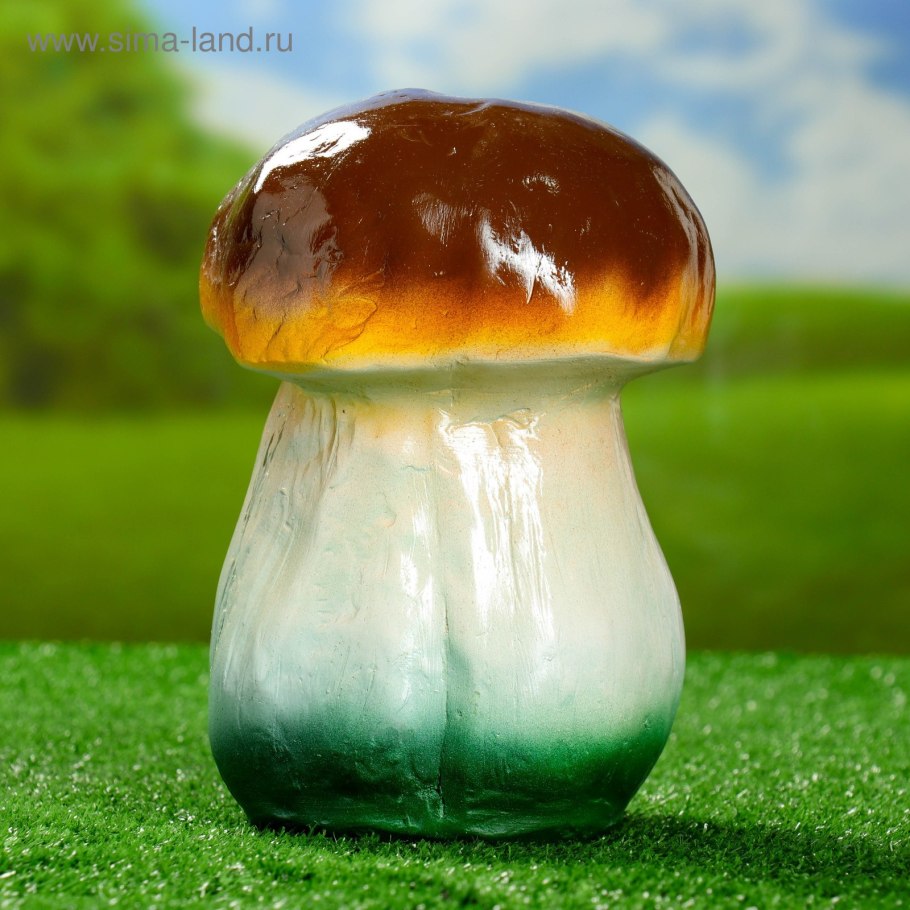 Подмосковный шампиньон