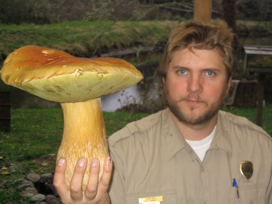 Гигантские грибы