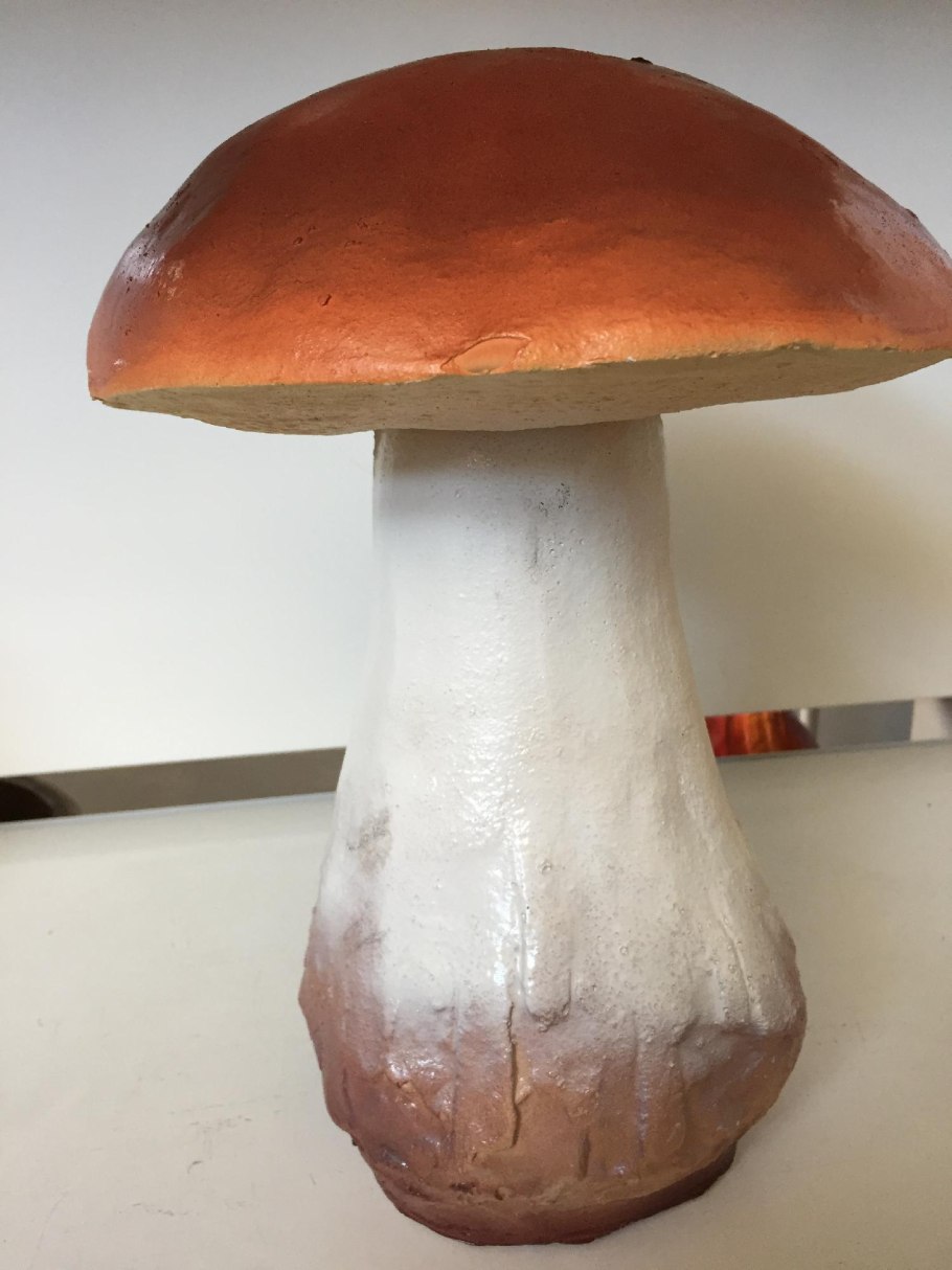 Гриб Боровик маска царя