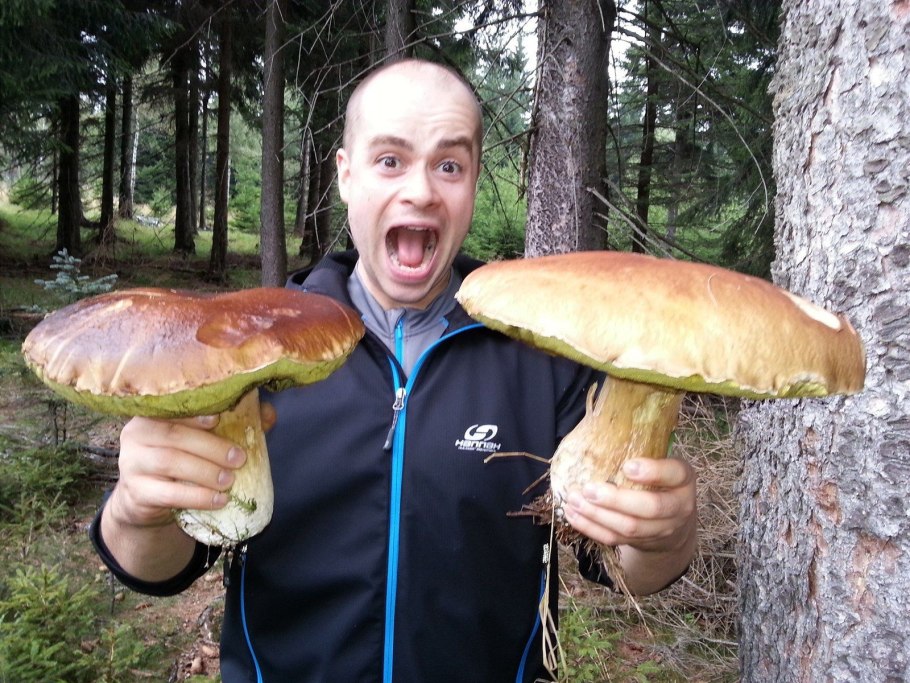 Огромный белый гриб