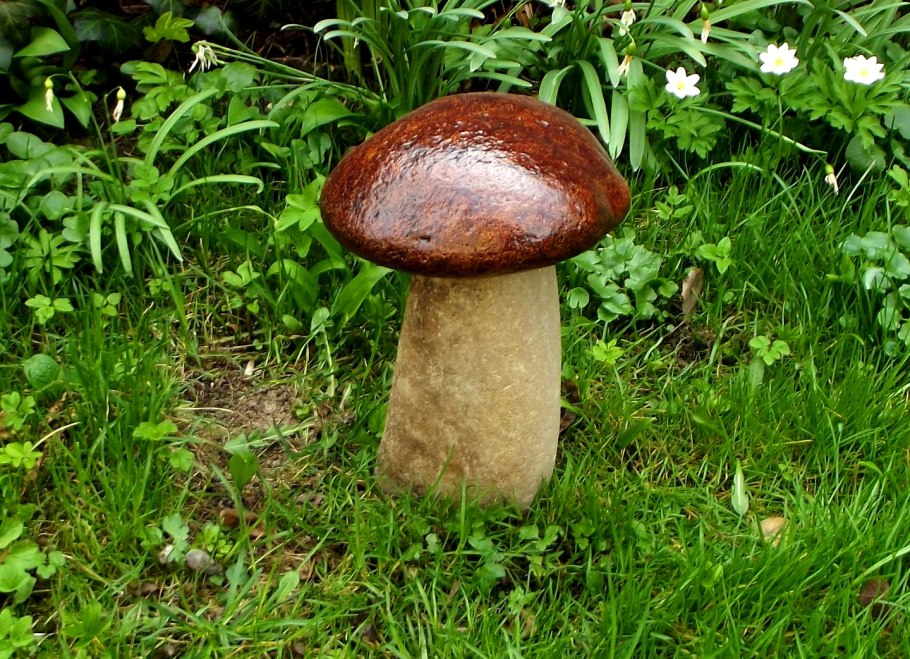 Гигантский подземный опенок в США