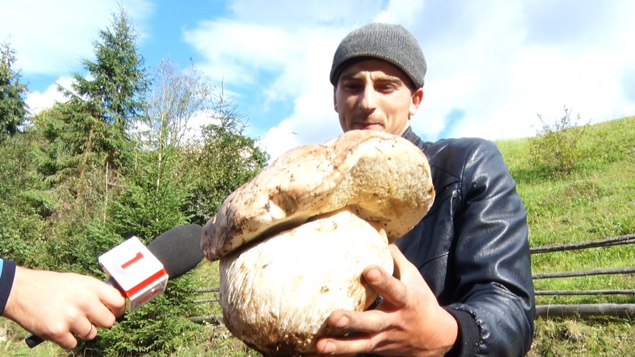 Каменные фигурки грибов