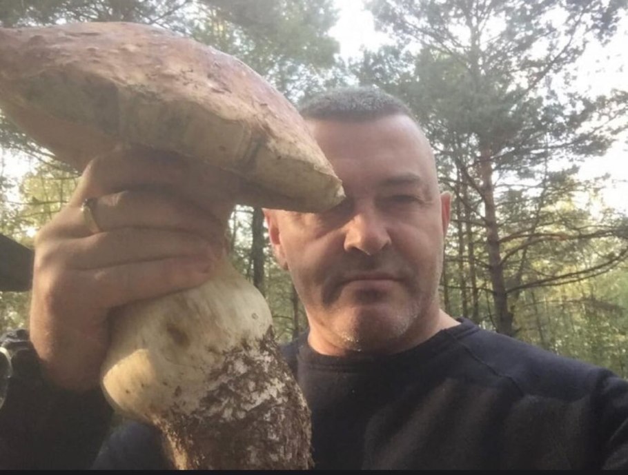 Гриб Боровик гигант