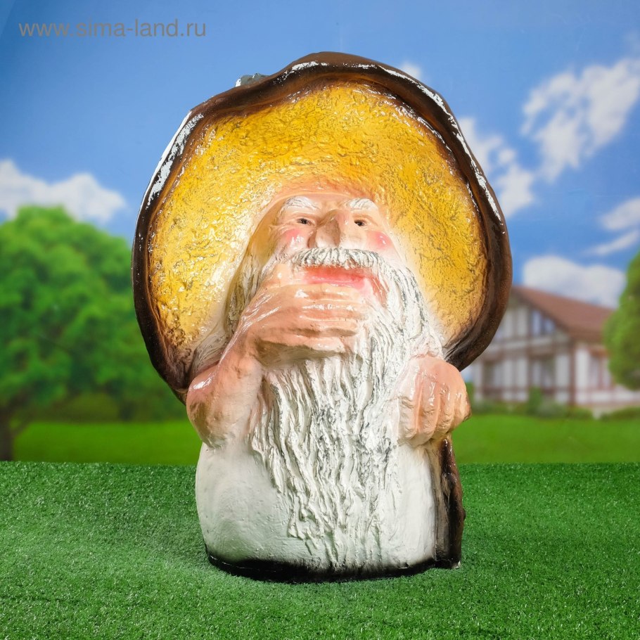 Самый большой гриб