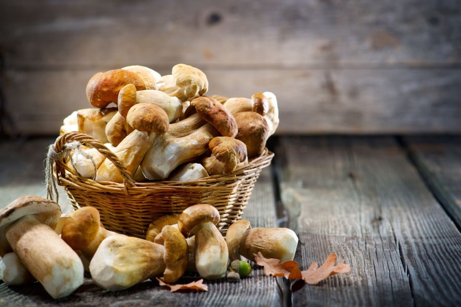 Грибы на столе