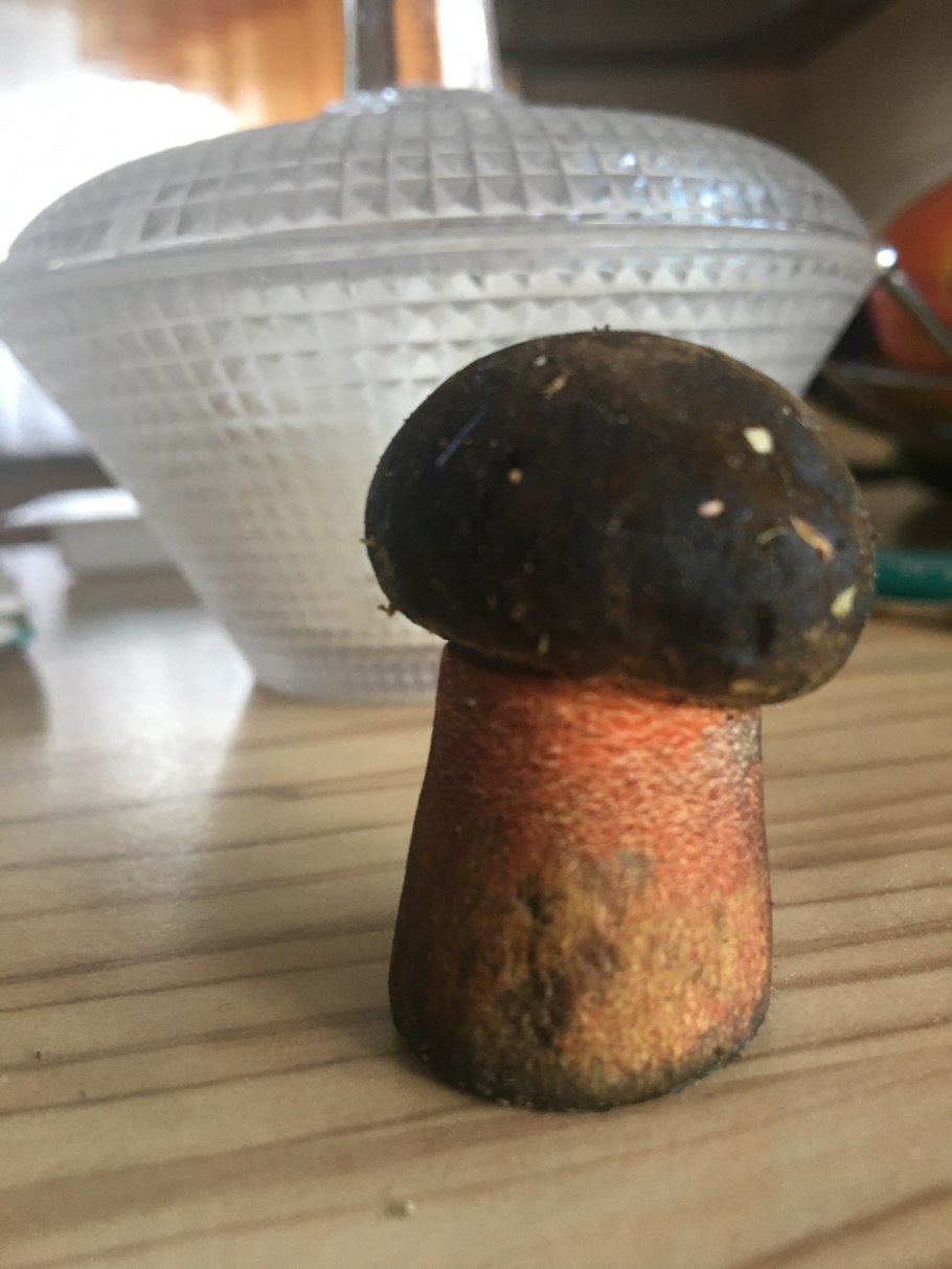 Горький гриб Дубовик