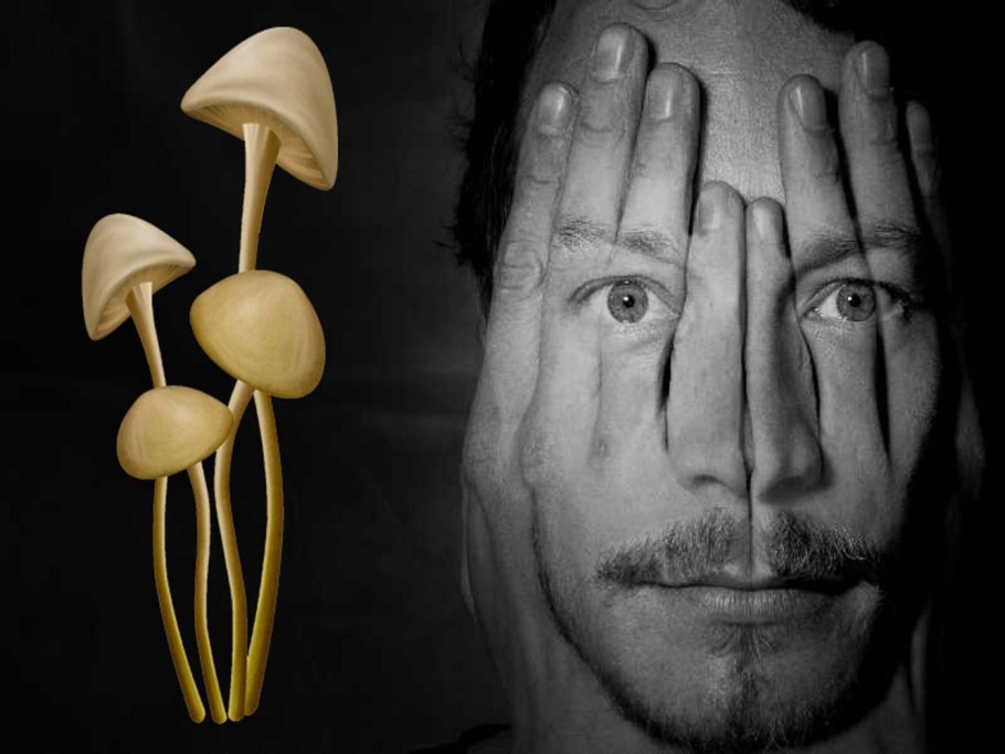 Галлюциногены лсд