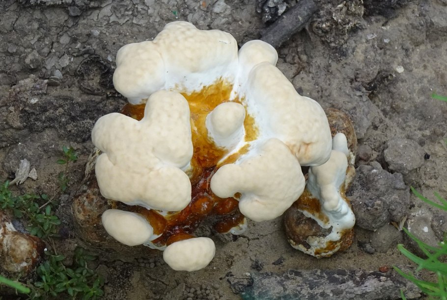 Новогодние ажурные шары крючком мастер класс