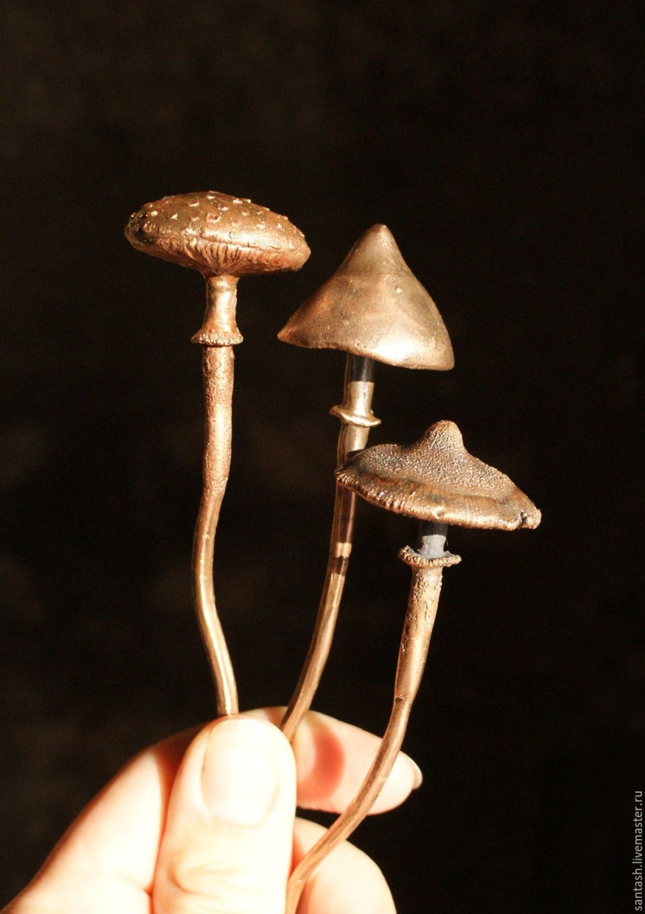 Грибы Псковской области