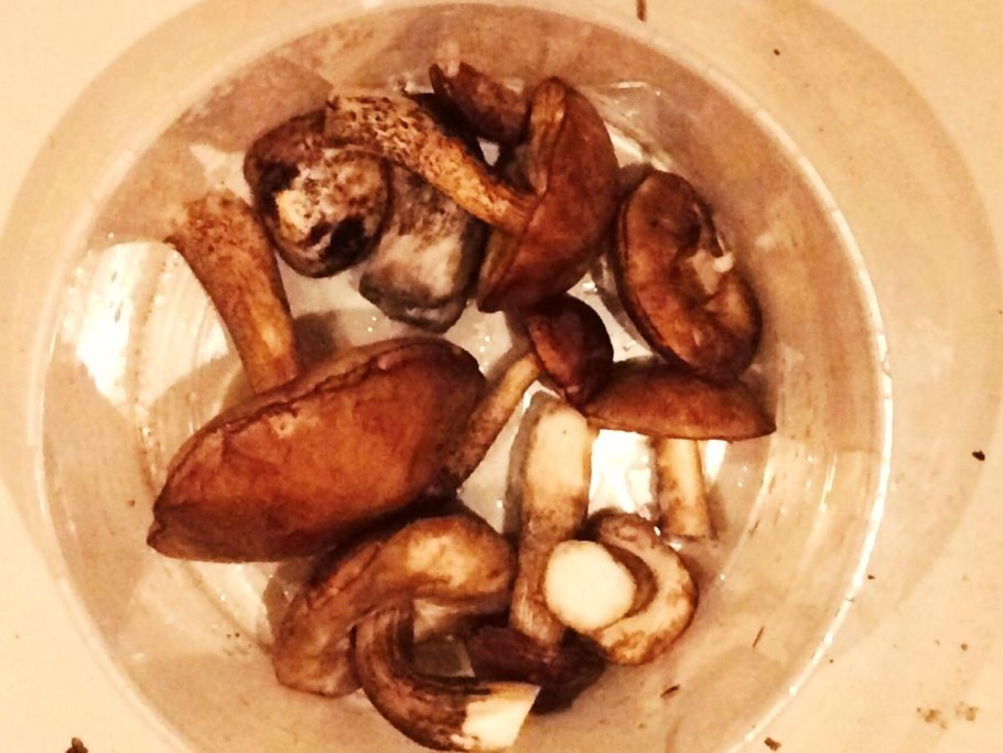 Рыжики червивые и не червивые