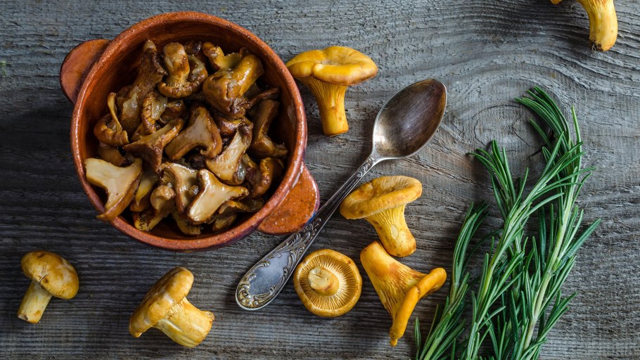 Четыре гриба по размеру