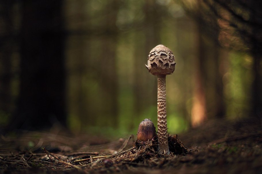 Рамен с бамбуком