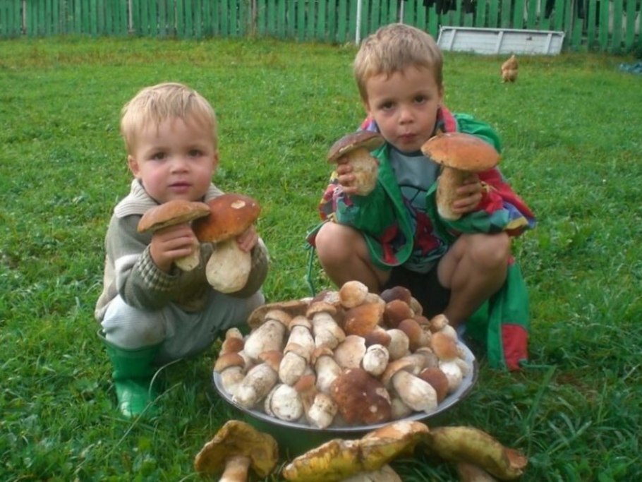 Семья в лесу за грибами