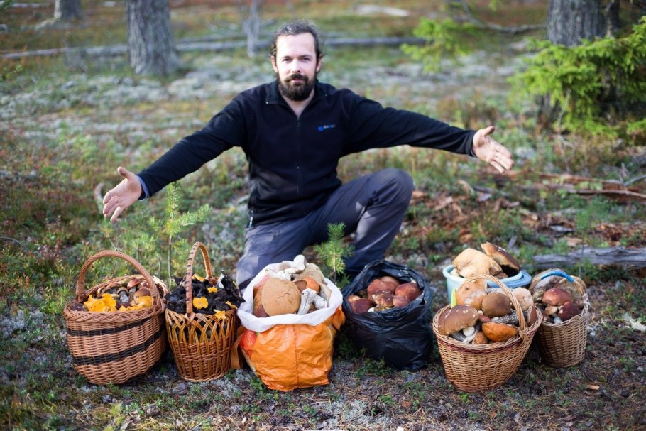 Корзинка для грибника