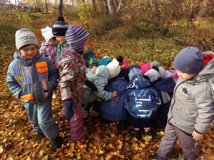 Собирание грибов в лесу