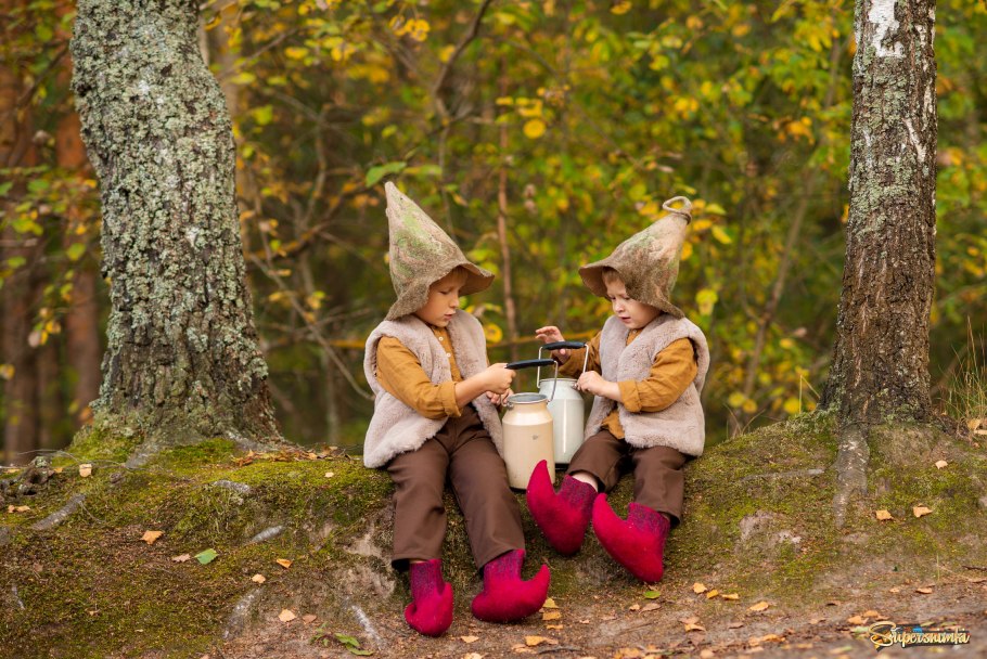 Стихи про осень и грибы