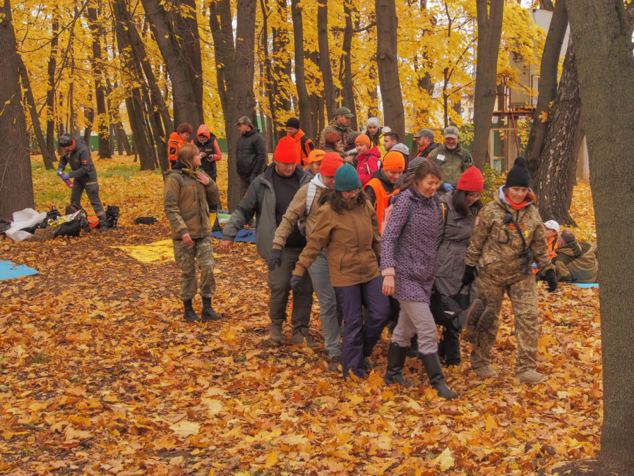 Приключения в осеннем лесу
