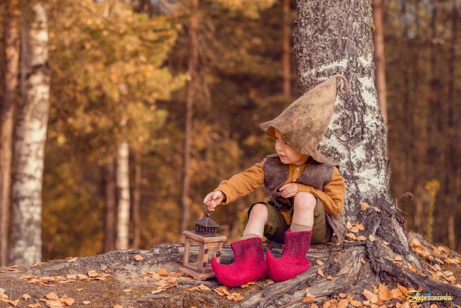 Корзинка с грибами