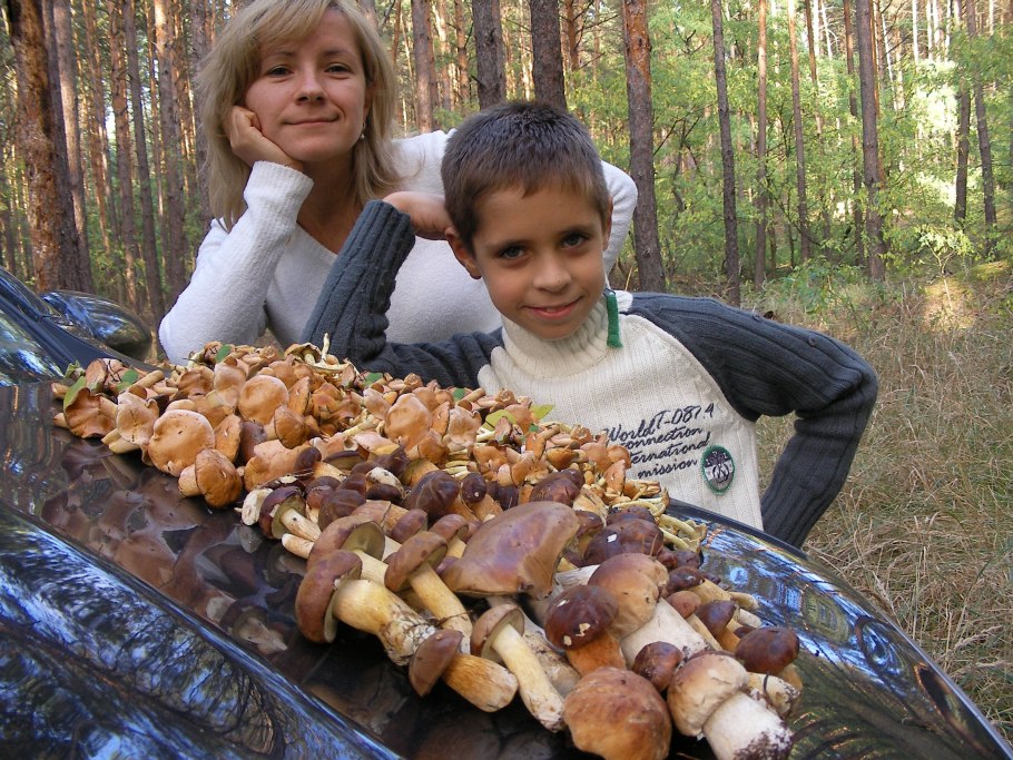 За грибами