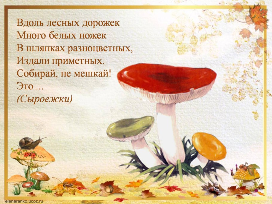 Осенние дары леса