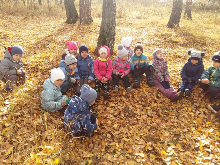 Грибы в березовой роще