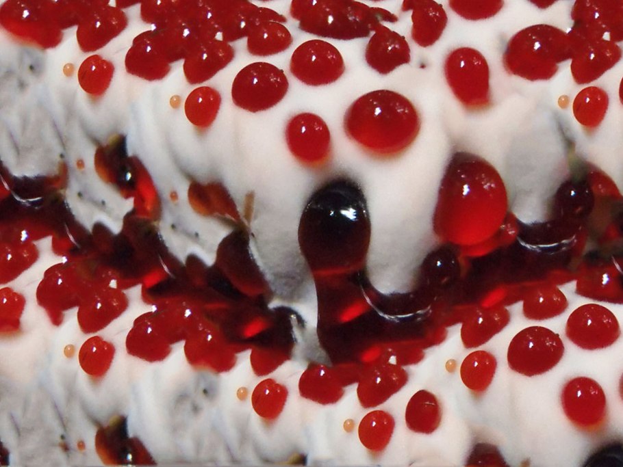 Гиднеллум ржавчинный гриб